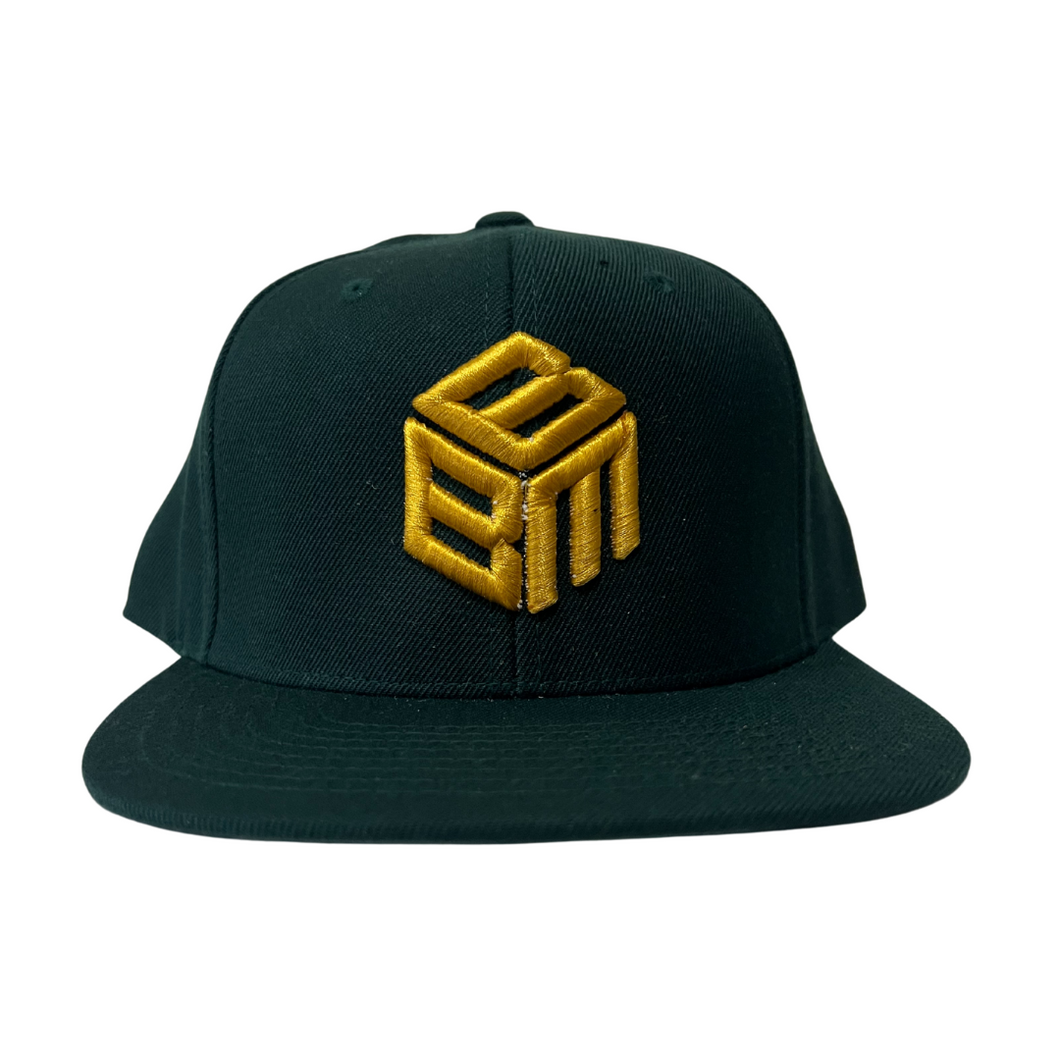 Black Baseball Media 2024 Snap Back Hat- Green & Gold